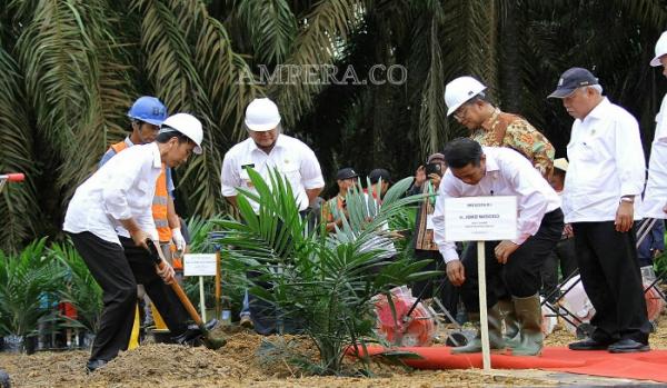 peremajaan-sawit-indonesia-dimulai-dari-muba
