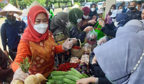 feby-deru-pacu-gsmp-merata-di-penjuru-sumsel-melalui-teknologi-digital-farming