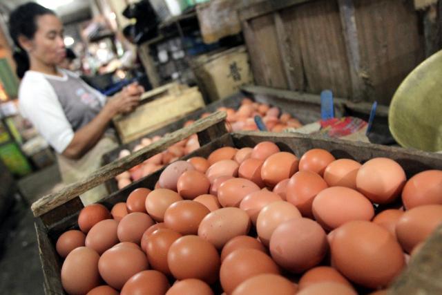 menjelang-ramadhan-harga-telur-naik
