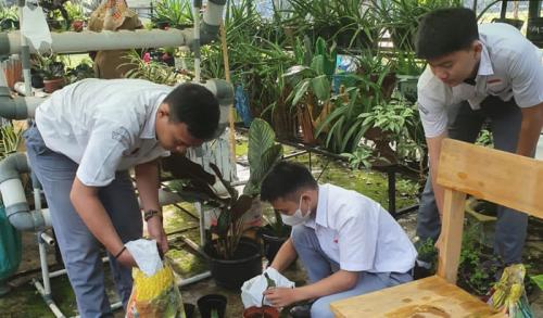 siswa-sma-negeri-14-palembang-tanam-sayuran-dan-ternak-lele-di-sekolah