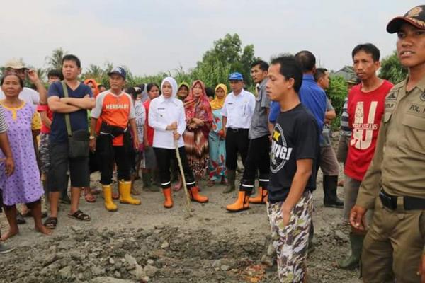 kembali-terulang-timbunan-tanpa-izin-di-ib-i