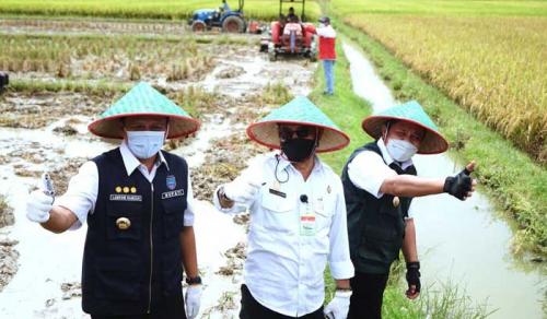 herman-deru--produksi-padi-di-sumsel-tinggi