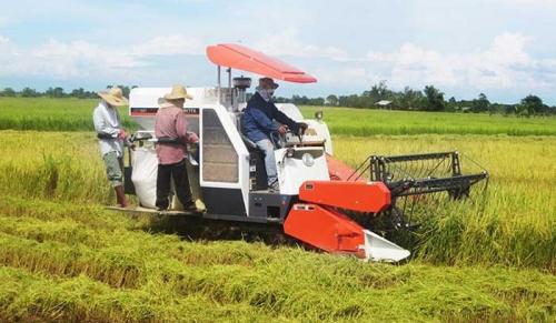 nilai-tukar-petani-sumsel-naik-signifikan-di-maret-2021