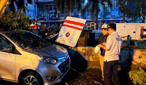 pohon-tumbang-timpa-mobil-sekda-ratu-dewa-bantu-evakuasi-