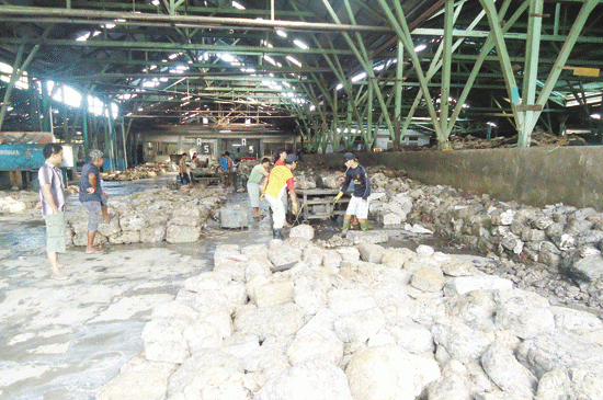naik-harga-karet-di-musirawas-tembus-rp7000-per-kilogram