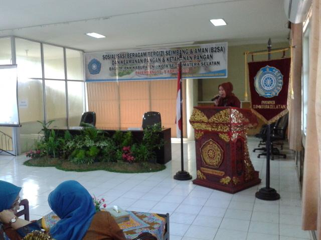 tppkk-sumsel-gelar-sosialisasi-b2sa
