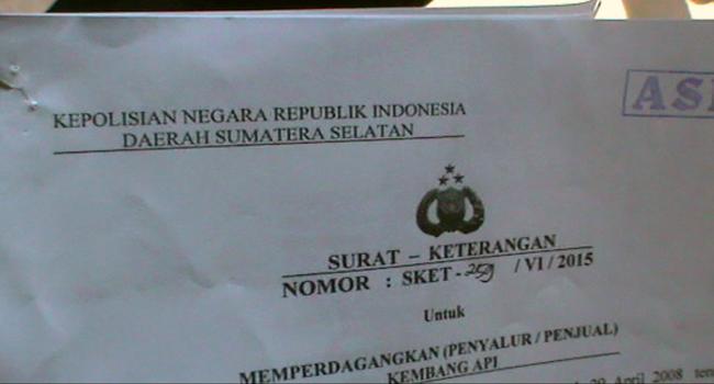 merasa-kantongi-izin-kepolisian-pedagang-petasan-tidak-mau-dirazia