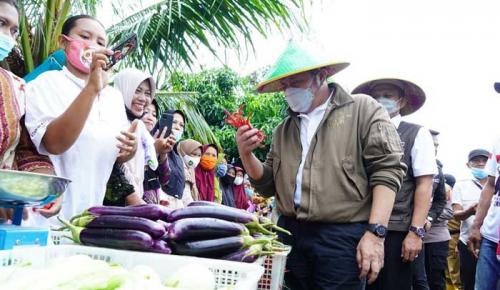 herman-deru-raih-penghargaan-gubernur-pendukung-gerakan-tanipreneur