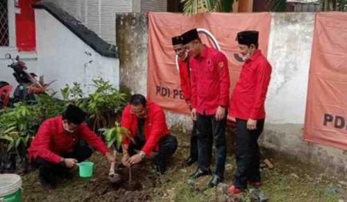 peringati-hut-ke-48-dpc-pdip-palembang-tanam-ratusan-pohon