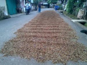 jemur-kopi-dibadan-jalan-melanggar-perda