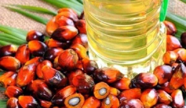 harga-cpo-di-sumsel-kembali-turun