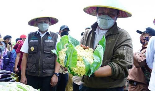herman-deru-semangati-warga-olah-cabai-lado-gerakkan-ekonomi-di-desadesa-