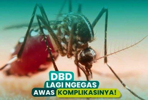 kasus-dbd-di-palembang-naik-jadi-640-kasus