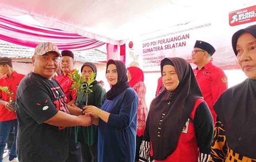 peringati-bulan-bung-karno-dpd-pdip-sumsel-bagikan-ribuan-bibit-jeruk-kunci-dan-cabai-ke-warga