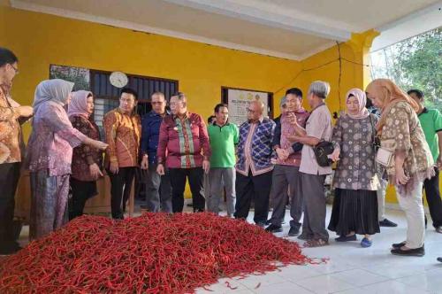 pemkot-palembang-dan-pemkab-kulon-progo-mou-pengendalian-inflasi-cabai-